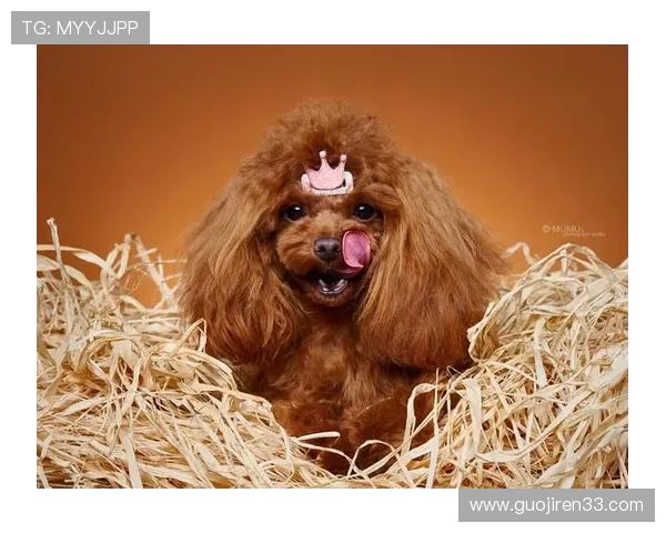 动物总动员直播:萌宠齐聚欢乐大联欢 动物总动员直播:萌宠齐聚欢乐大联欢